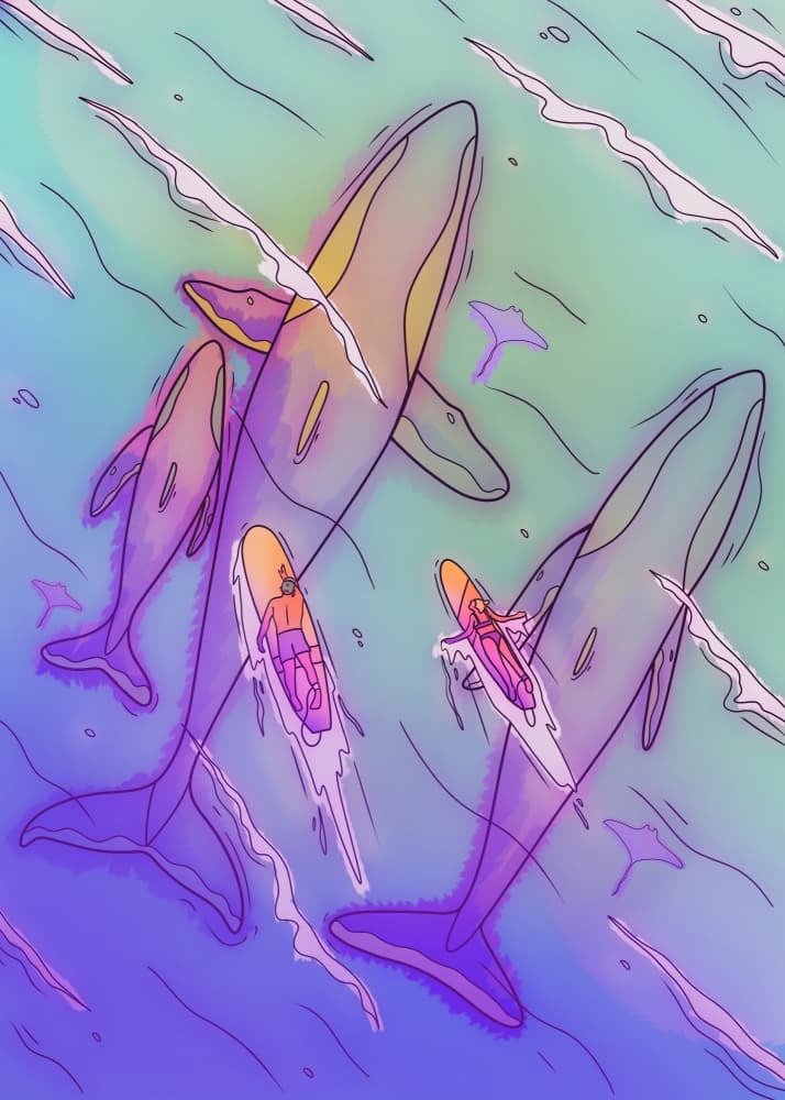 Ocean Whales and Paddleboards by Stephen Wade — canvas wall art