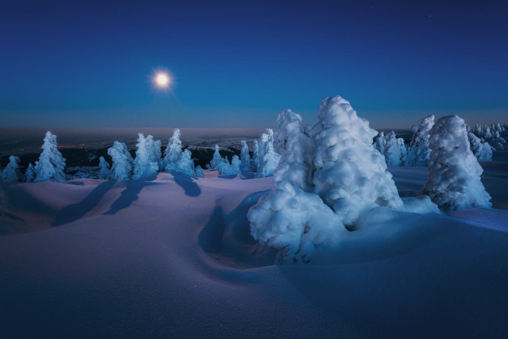 Moonlit Winter Wonderland by Szabo Zsolt Andras — canvas wall art