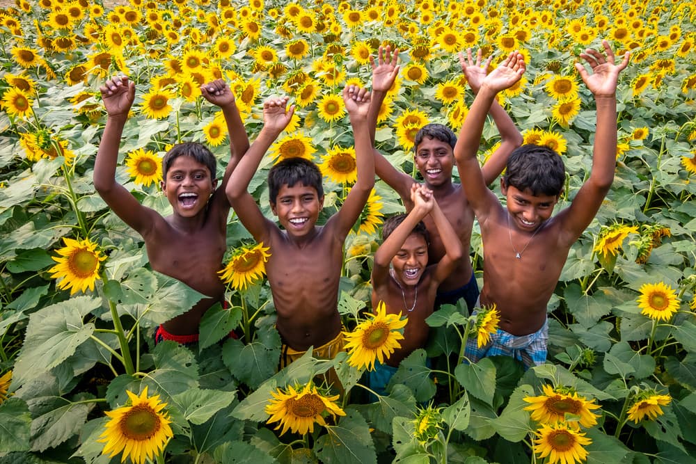 Joyful Boys Sunflower Field by Saurabh Sirohiya — canvas wall art