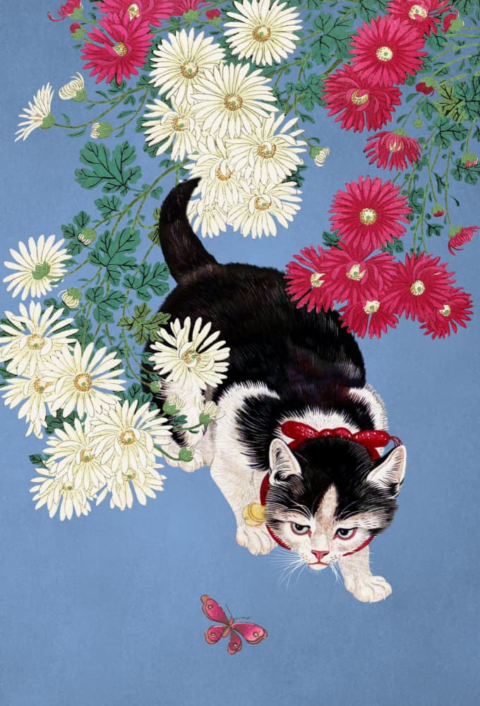 Curious Kitten Butterfly by Marja van den Hurk — canvas wall art