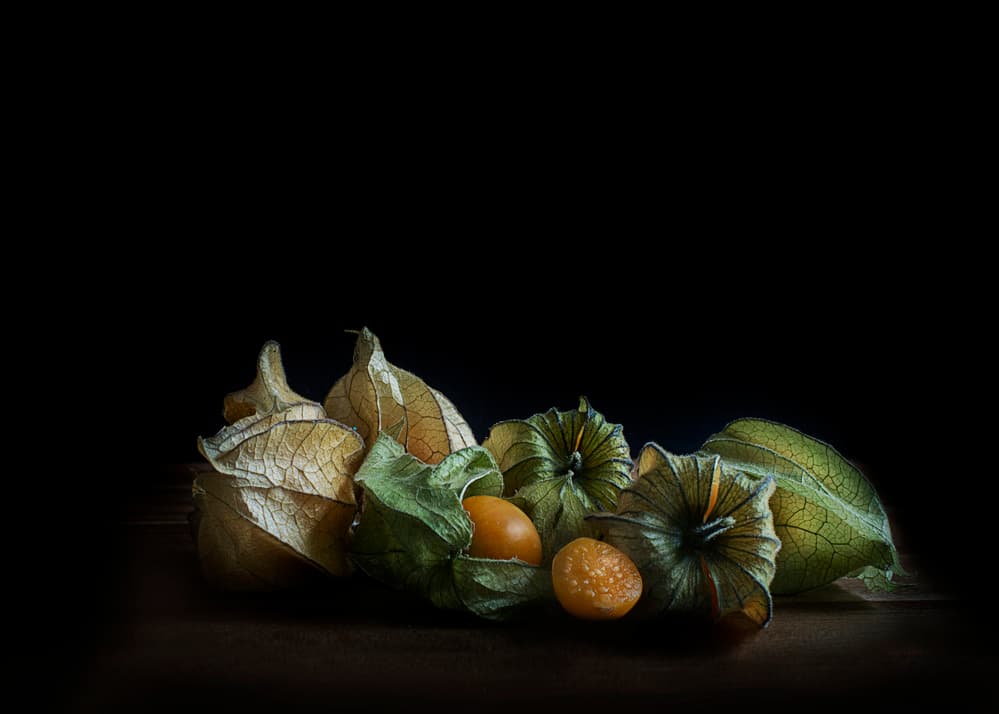 Cape Gooseberry Still Life by bernadette Nooij — canvas wall art