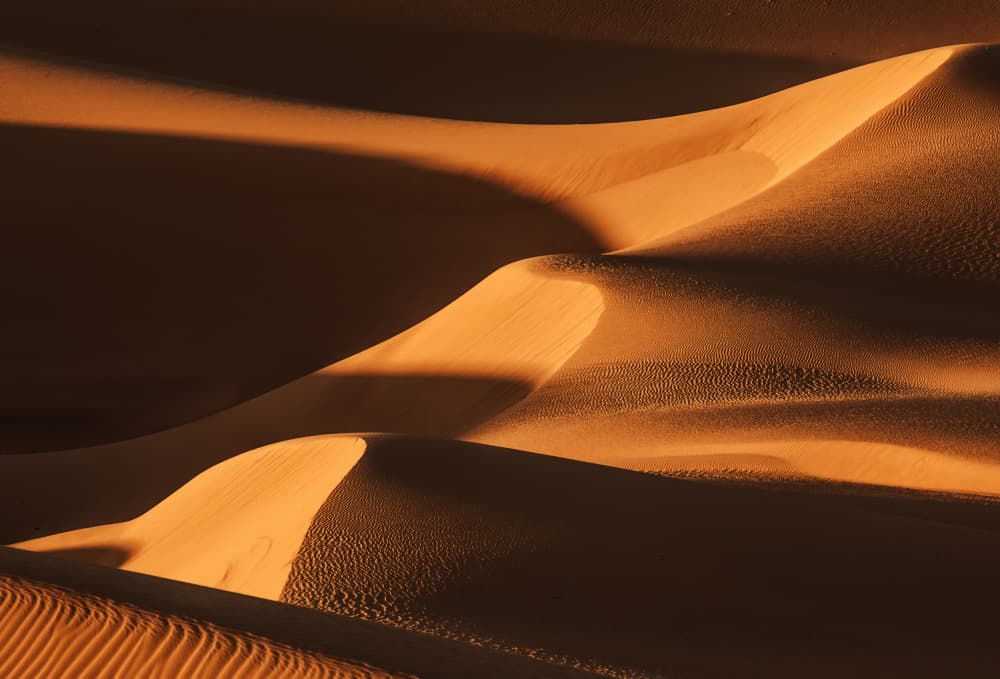Golden Desert Dunes by Jenny Qiu — canvas wall art