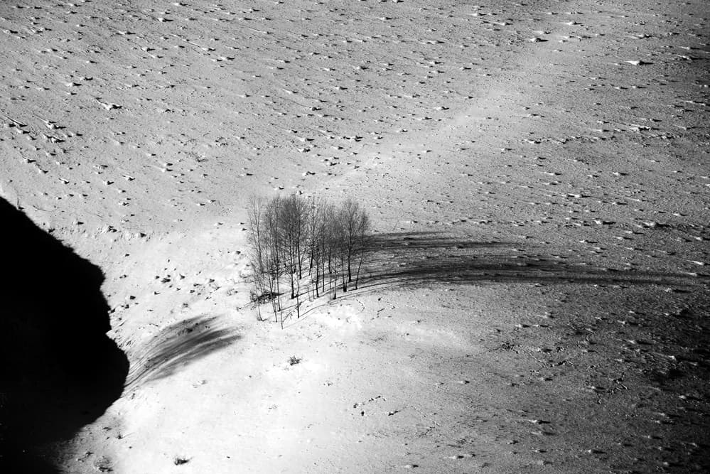 Winter Tree Shadows by Ovidiu Satmari — canvas wall art