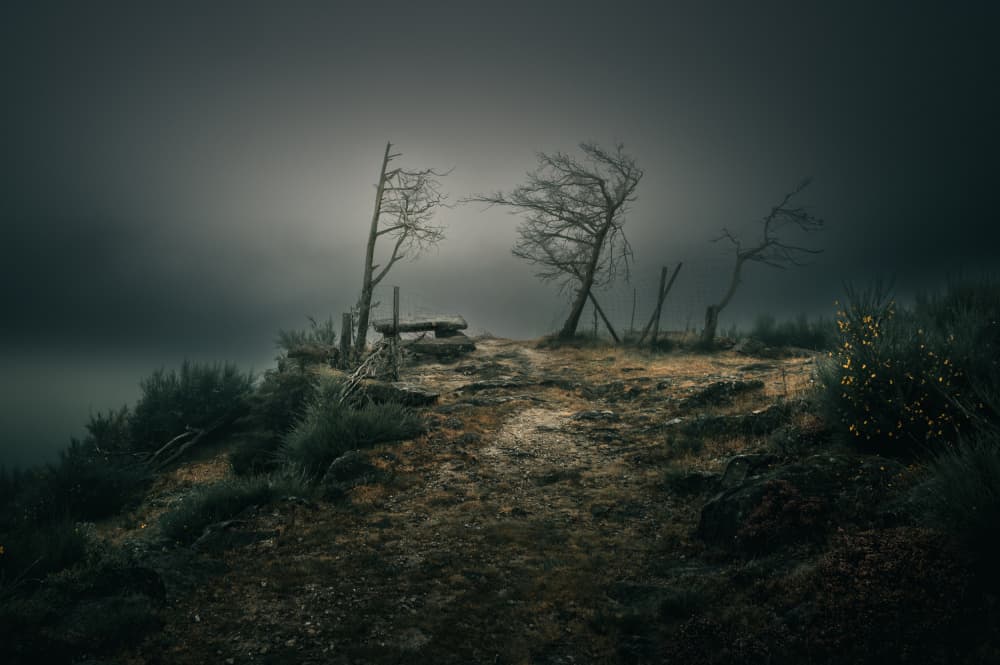 Dark Misty Landscape by Marc Huybrighs — canvas wall art