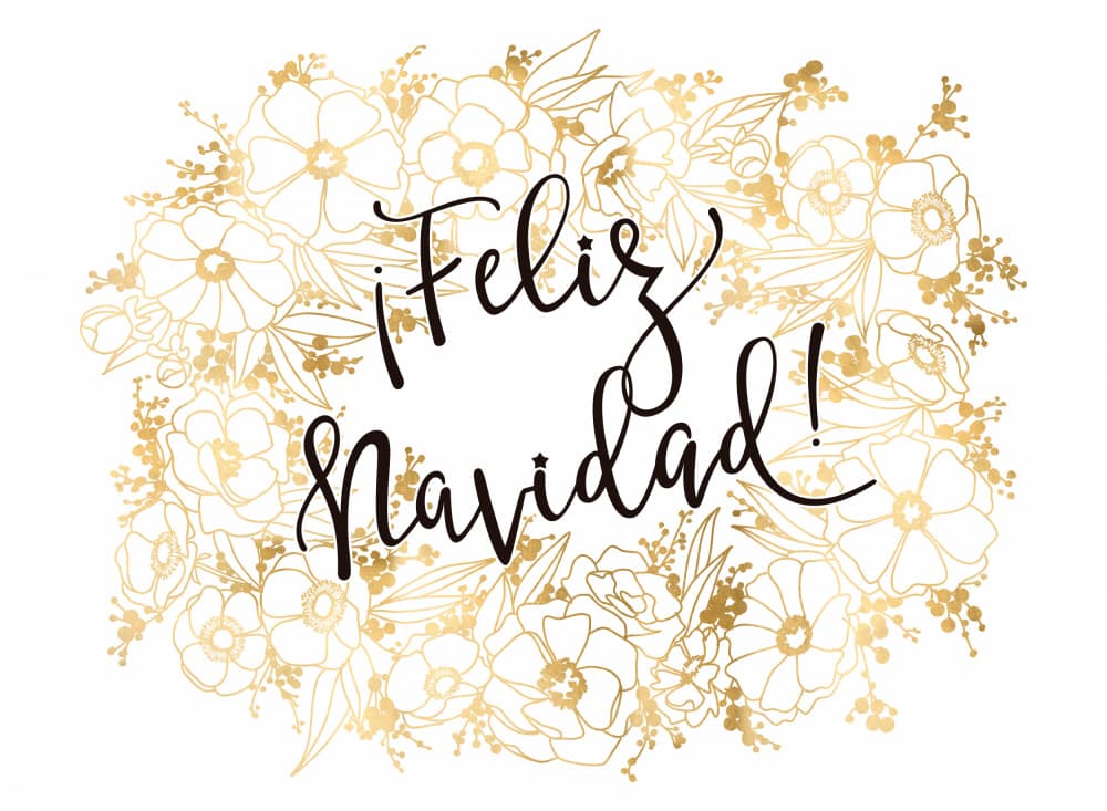 Feliz Navidad Gold Floral by Rosana Laiz Blursbyai — canvas wall art