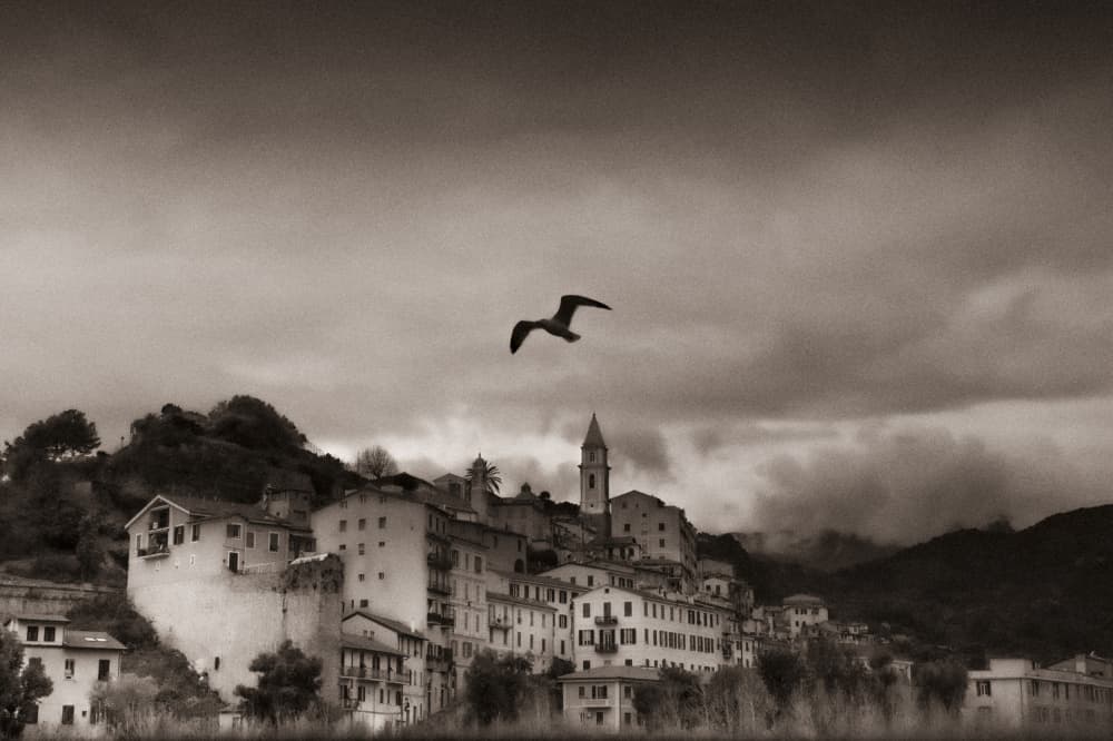 Historic Coastal Village With Seagull by Angelika Vogel — canvas wall art