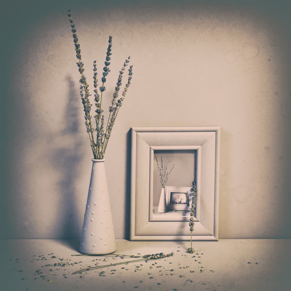 Vintage Lavender Still Life by Heidi Westum — canvas wall art