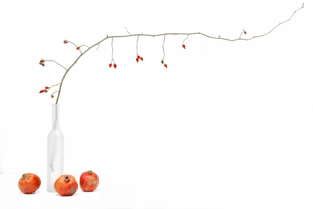 Minimalist Autumn Arrangement by FranzStaab — canvas wall art
