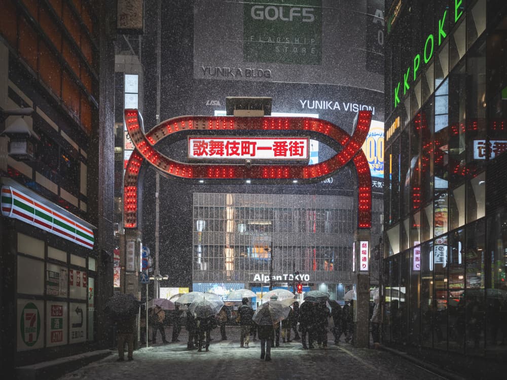 Snowy Tokyo Street by LIANG CHEN — canvas wall art