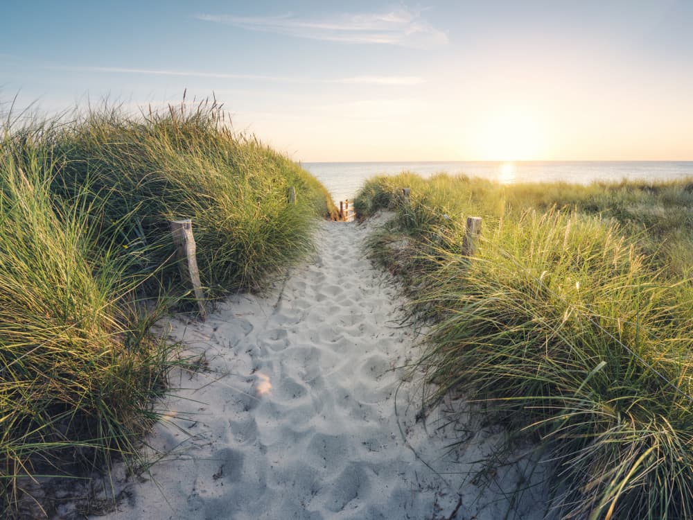 To the Beach by Stefan Hefele — canvas wall art