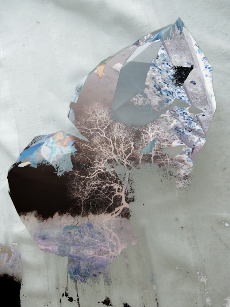 Abstract Winter Trees by Stefan Fransson — canvas wall art