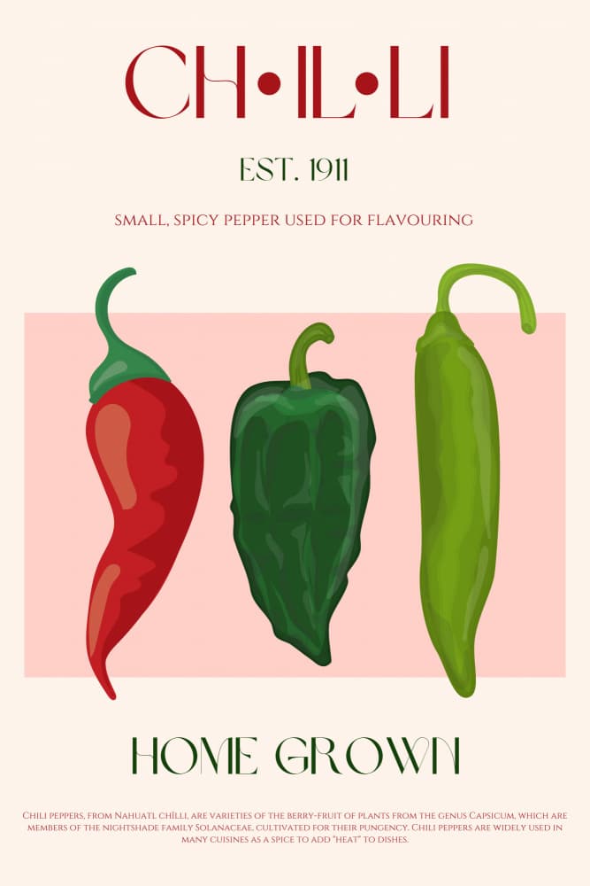 Home Grown Chili Peppers by Nazma Khokhar — canvas wall art