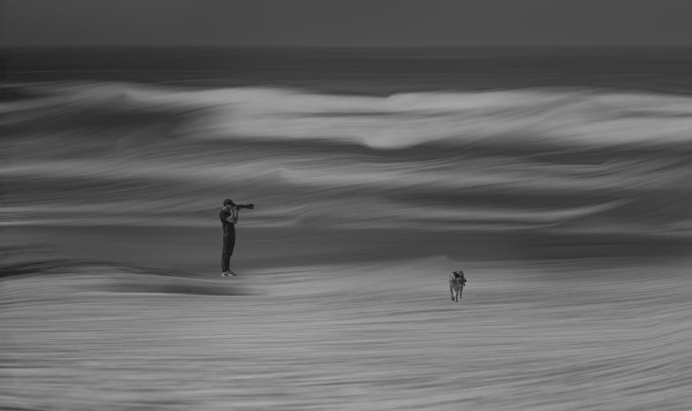 Man Dog Serene Waves by Molly Fu APA — canvas wall art