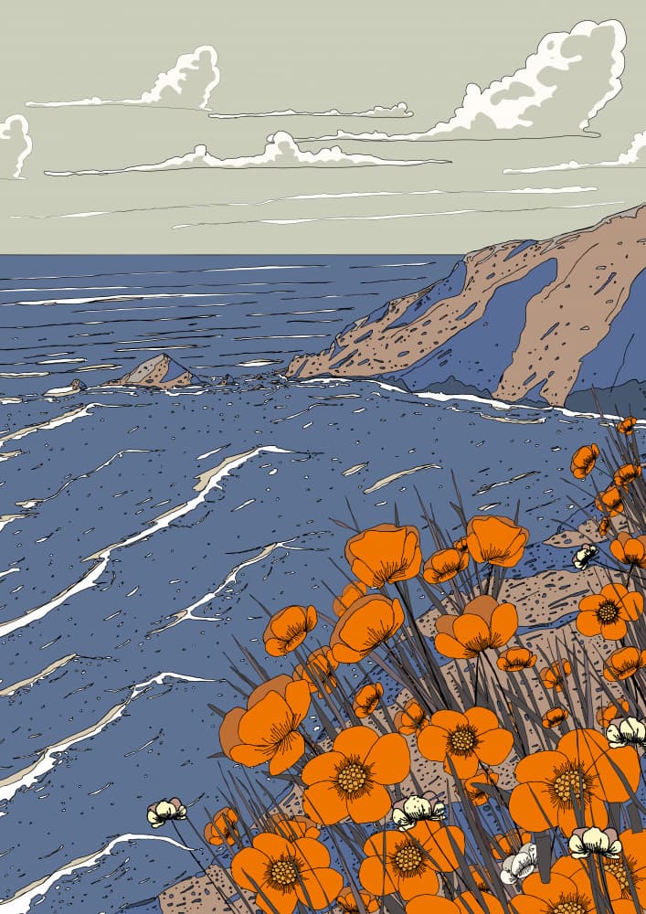 Coastal Cliffs Orange Flowers by Nicholas — canvas wall art