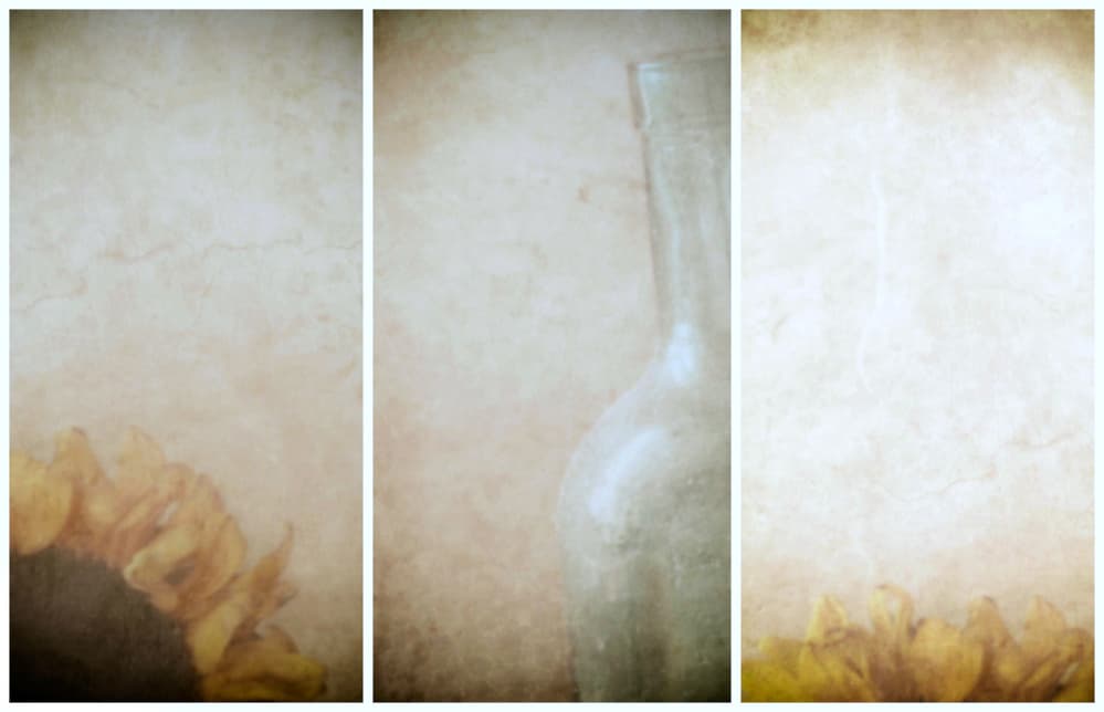 Faded Sunflower Bottle Still Life by Delphine Devos — canvas wall art