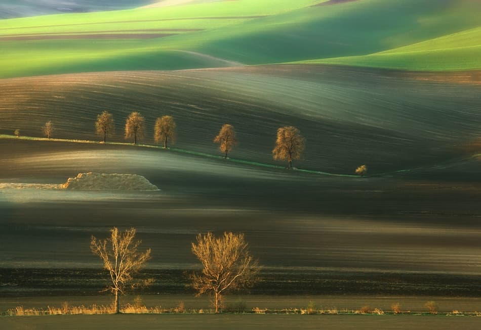 Rolling Hills Serenity by Krzysztof Browko — canvas wall art