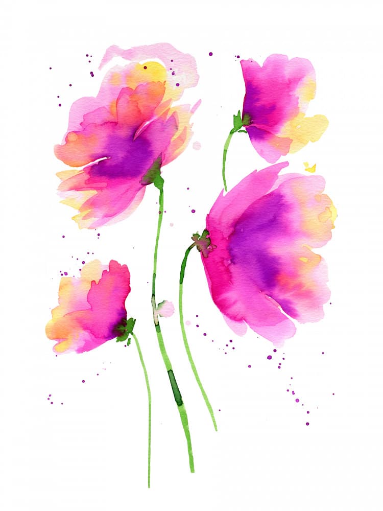 Vibrant Watercolor Blooms by Ninola Design — canvas wall art
