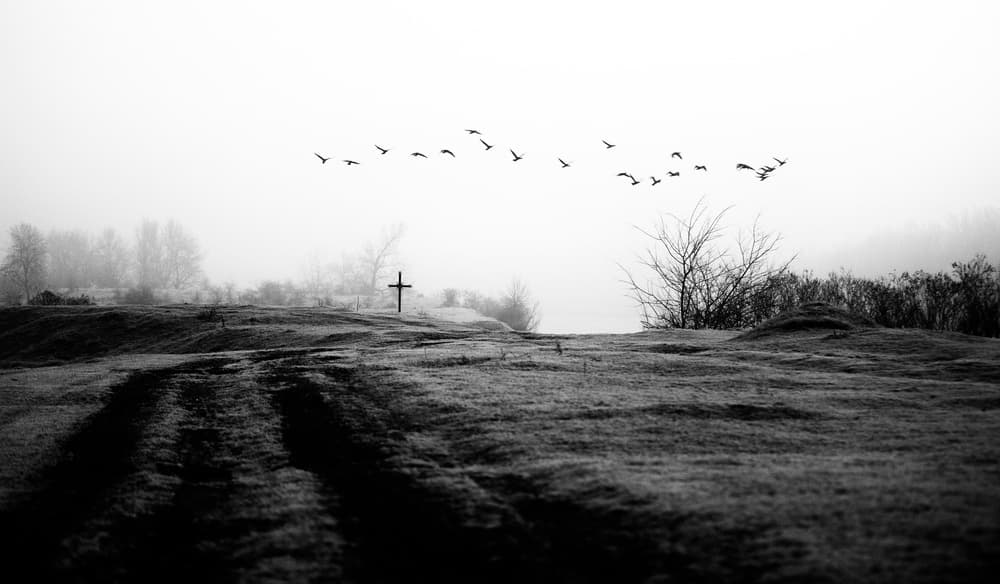 Misty Cross and Birds by Julien Oncete — canvas wall art