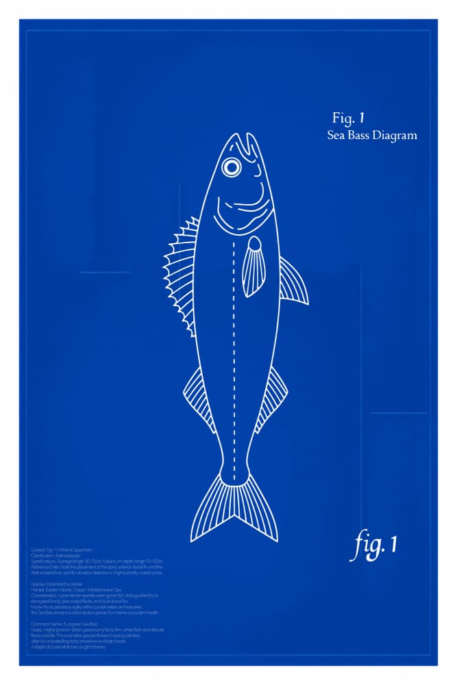 Sea Bass Blueprint by cartissi — canvas wall art
