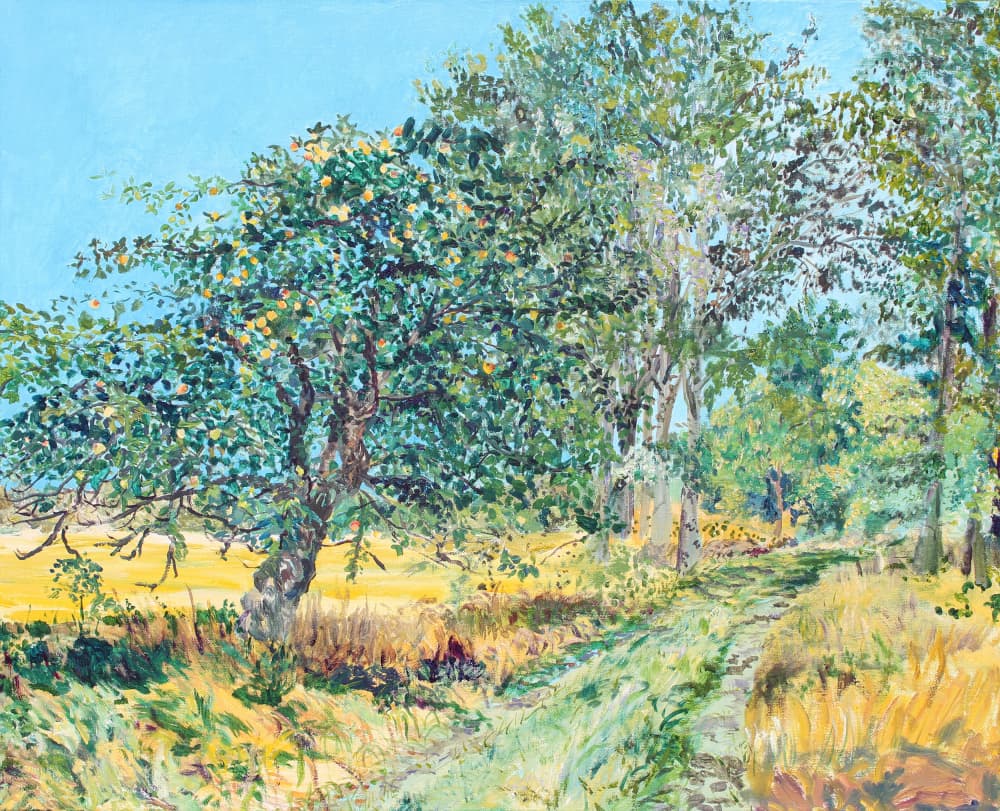 Sunny Orchard Path by Eva Galonska — canvas wall art