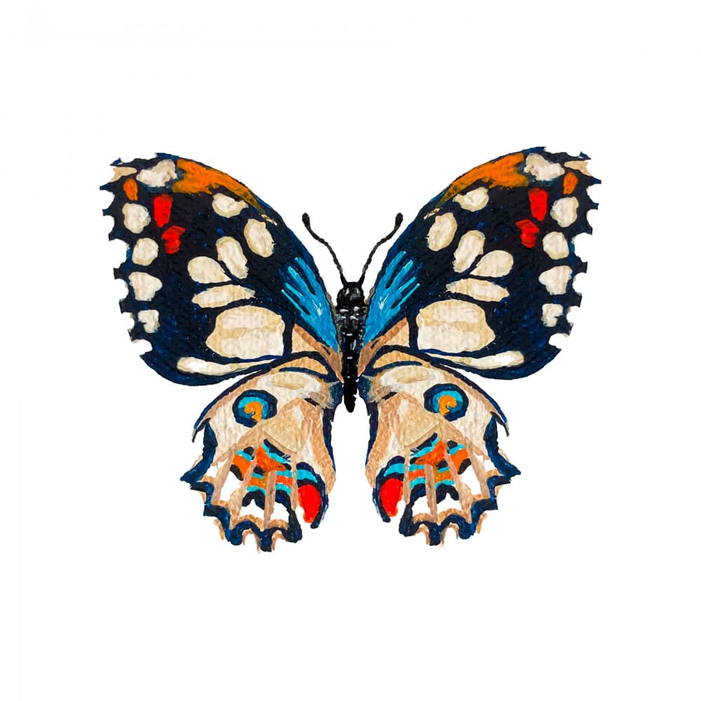 Vivid Butterfly Illustration by Madison Phipps — canvas wall art