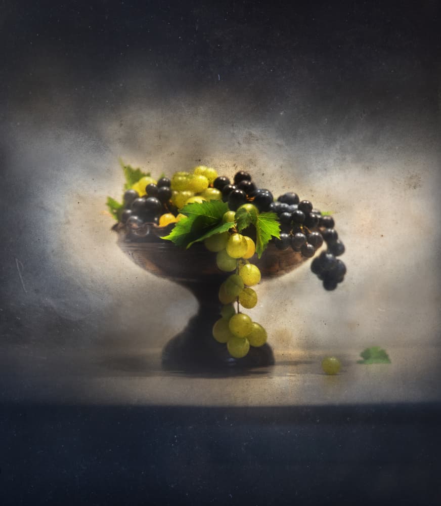 Classic Grapes Abundance by Elisabeth van Helden — canvas wall art
