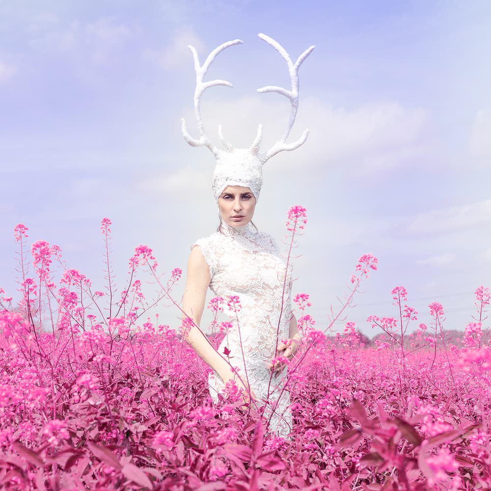 Antlered Woman Pink Field by Mike Darzi — canvas wall art