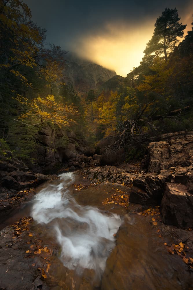 Golden Autumn Mountain Stream by David Martin Castan — canvas wall art