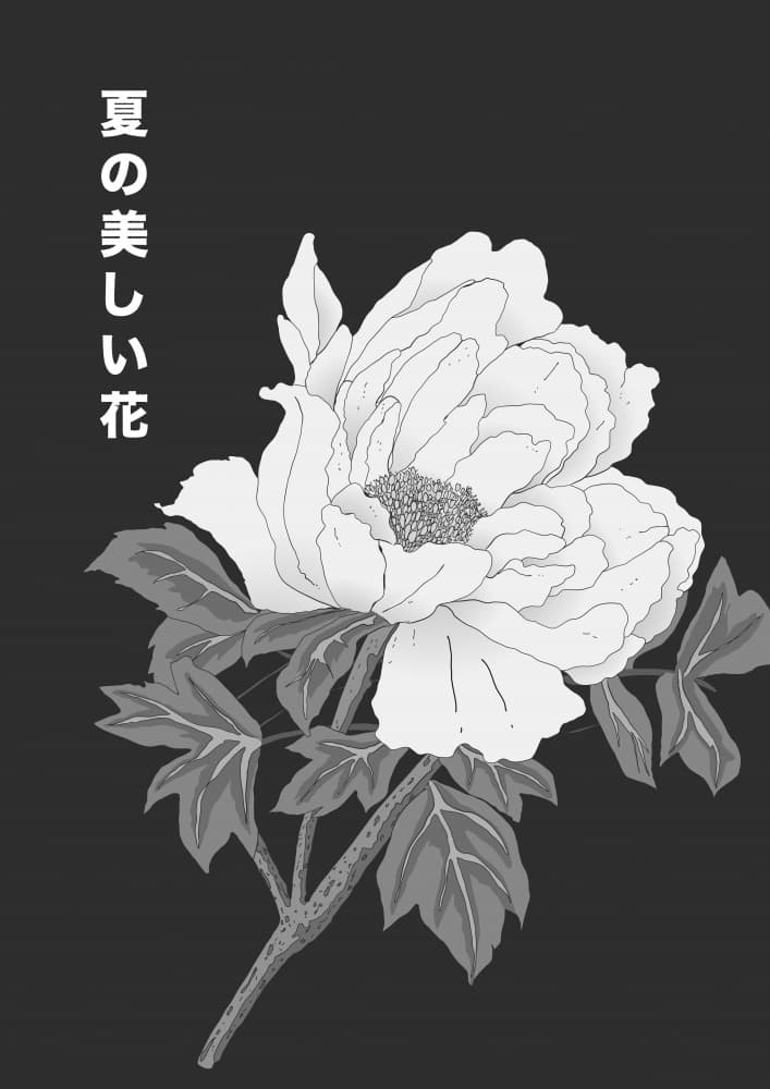 Elegant Japanese Peony by Nicholas — canvas wall art