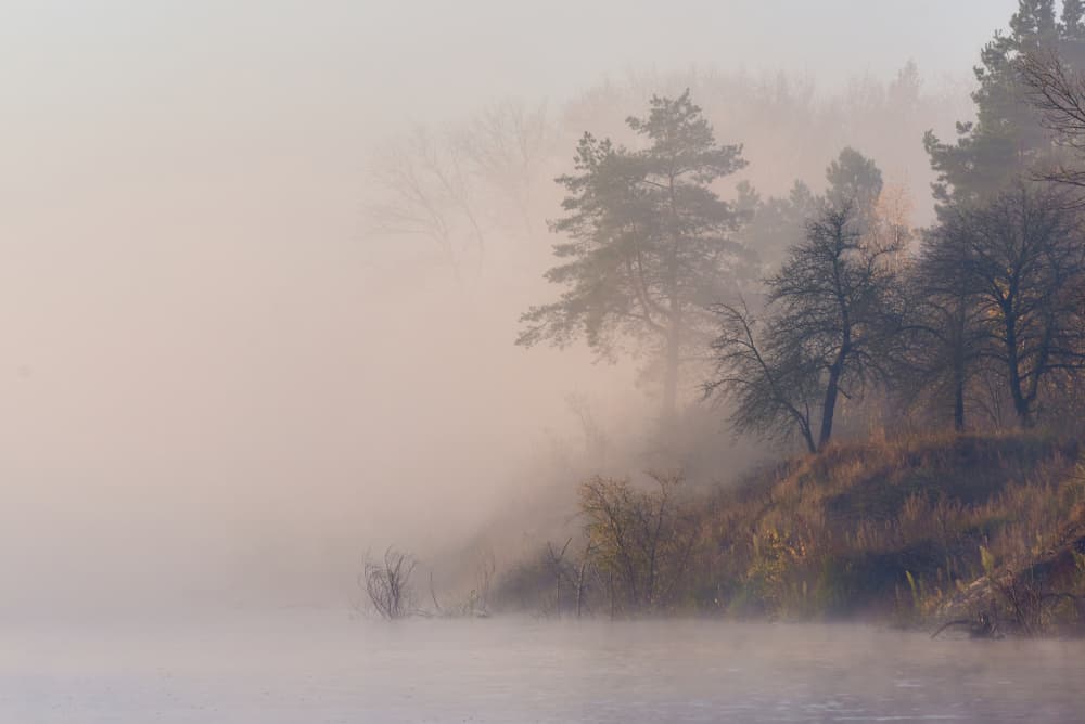Misty River Morning by Andrii Kazun — canvas wall art