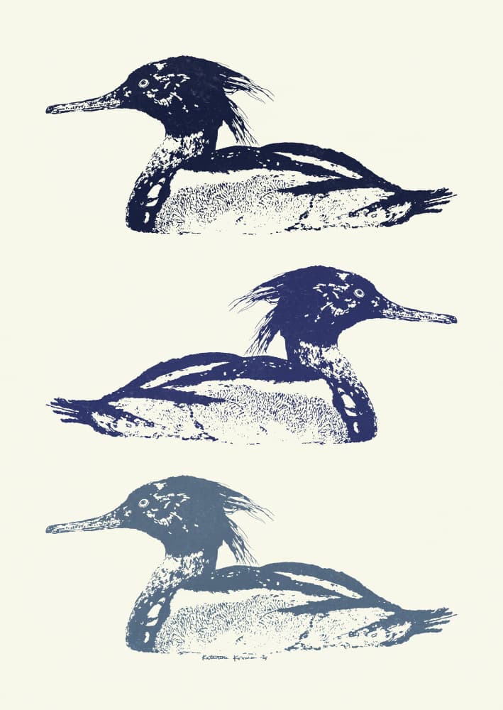 Stacked Blue Mergansers by Katariina Kosunen — canvas wall art