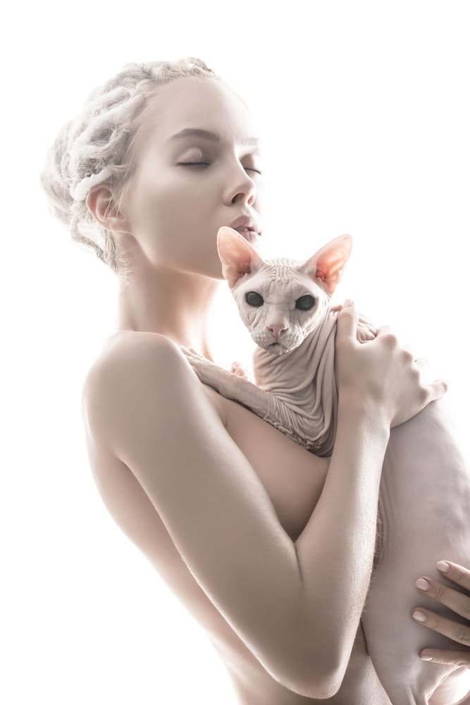 Serene Woman Sphynx Cat by Andrey Guryanov — canvas wall art