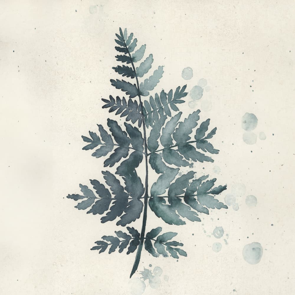 Muted Watercolor Fern by Rosana Laiz Blursbyai — canvas wall art