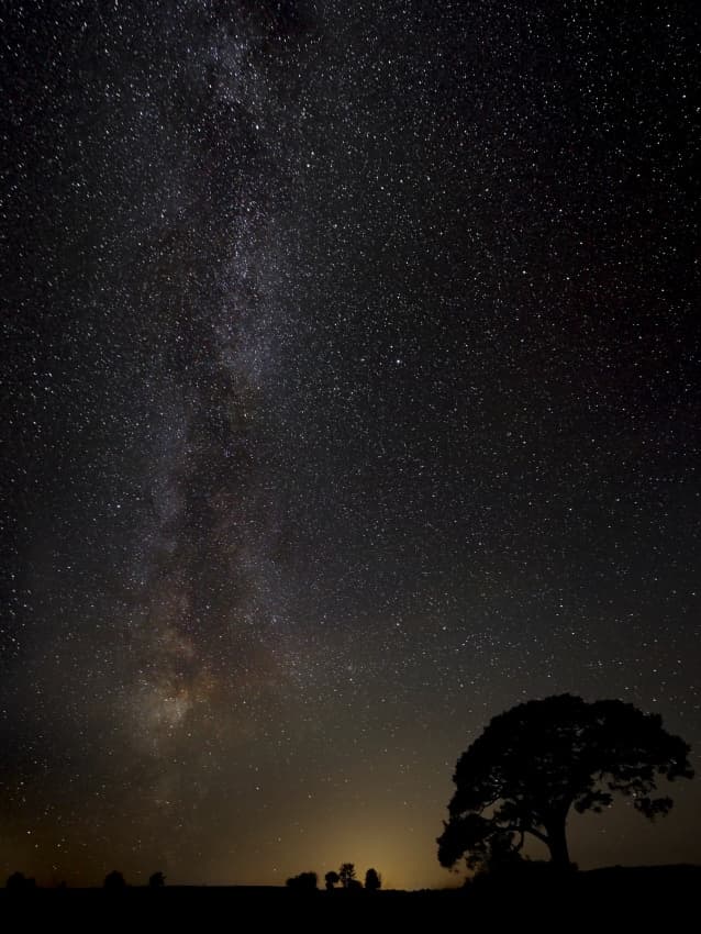 Milky Way Over Lone Tree by Kaspars Kurcens — canvas wall art