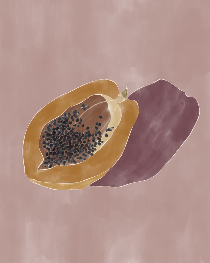 Tropical Papaya Fruit by Ivy Green Illustrations — canvas wall art