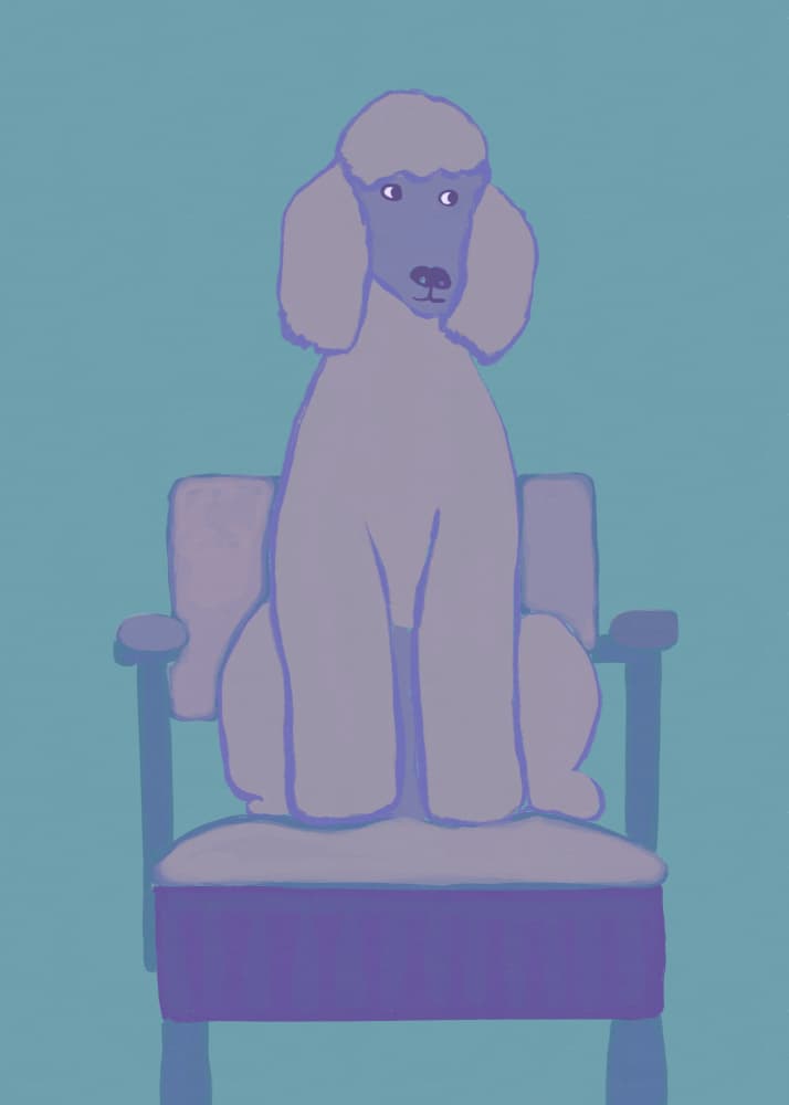 Elegant Poodle Portrait by Sharyn Bursic — canvas wall art