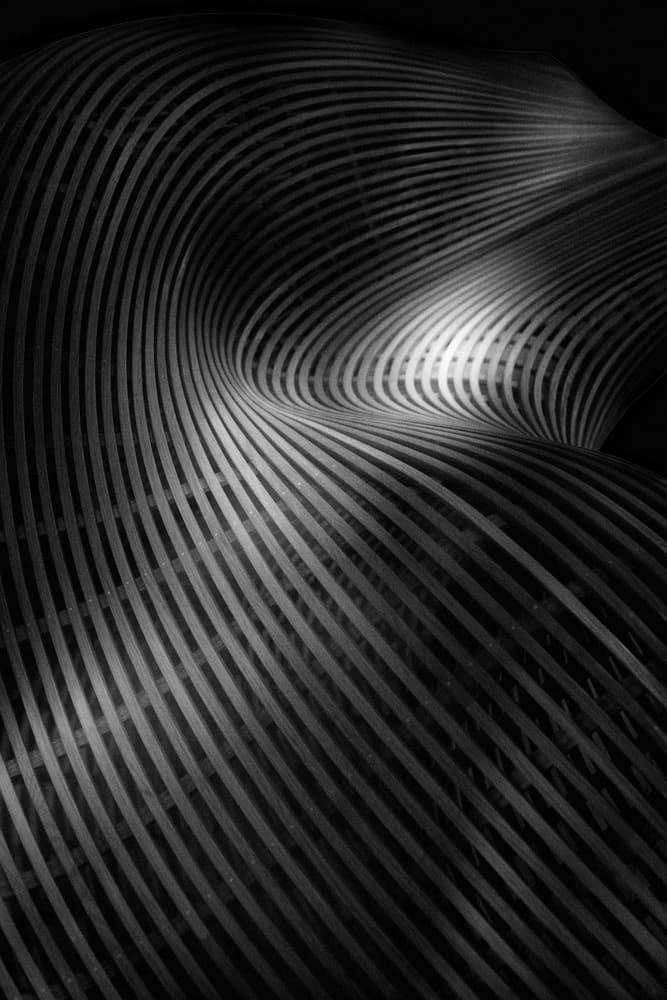 Dynamic Abstract Curves by Olavo Azevedo — canvas wall art