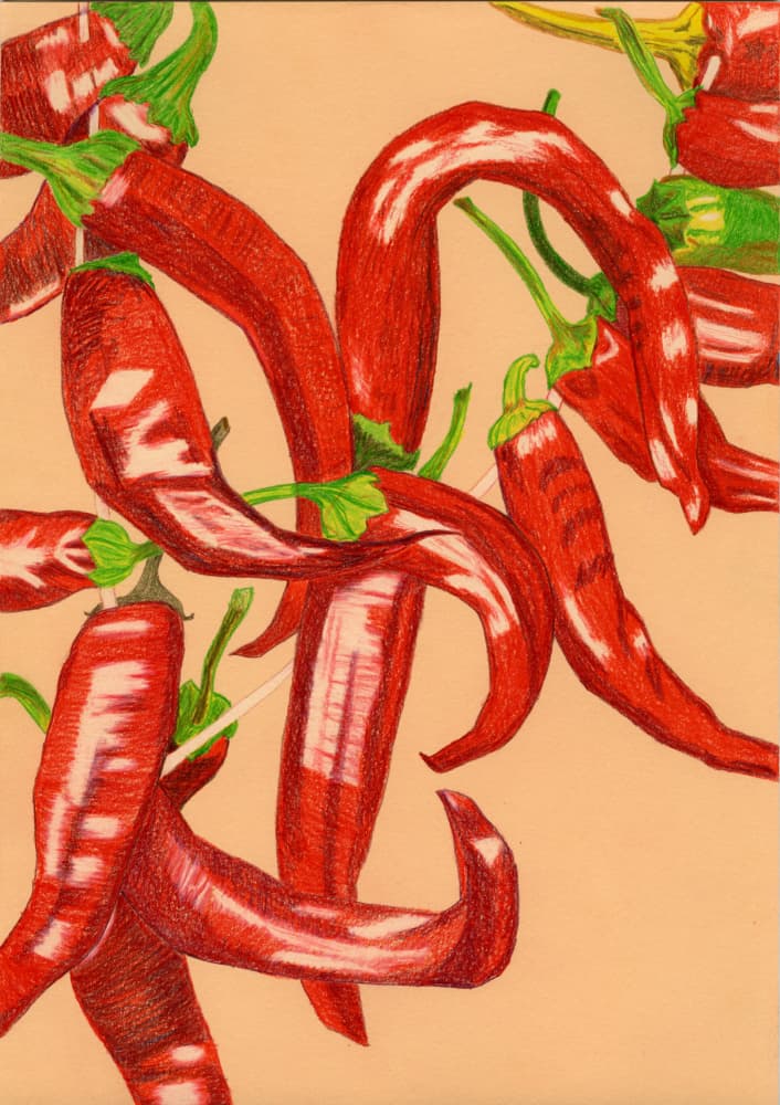 Spicy Red Peppers by Viktoriia Saunina — canvas wall art