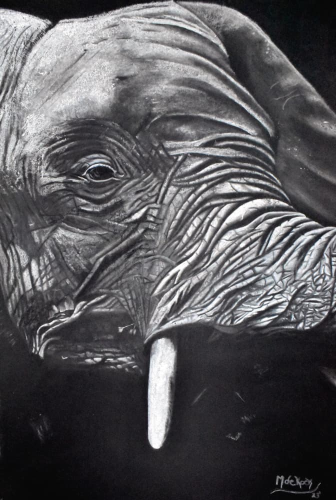 Majestic Elephant Portrait by Marchelle de Kock — canvas wall art