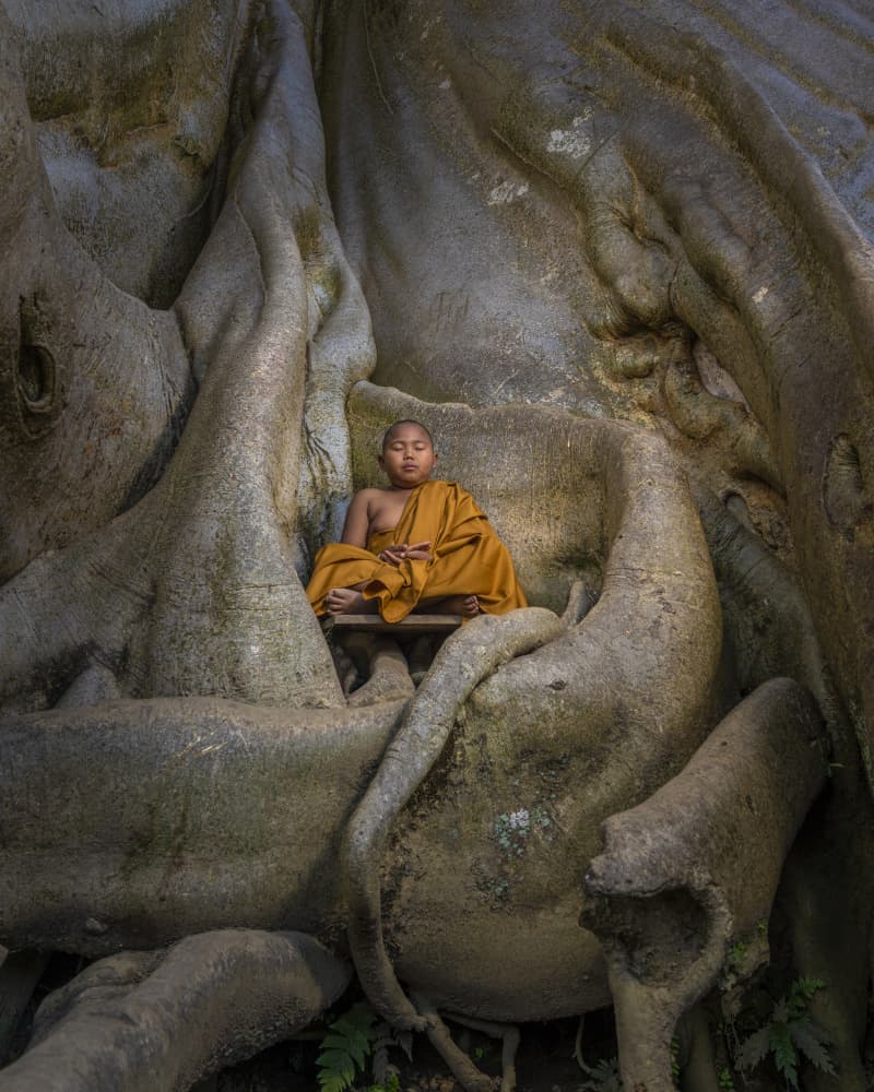 Meditating Monk Among Roots by Magdalena Fifi — canvas wall art