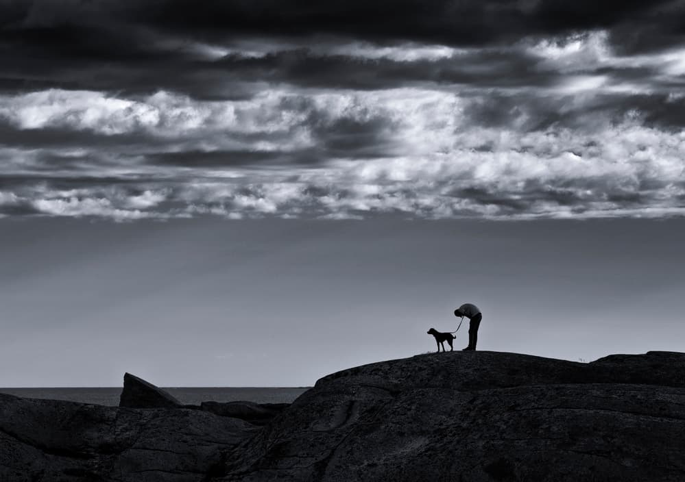 Moody Coastal Companions by Julien Oncete — canvas wall art