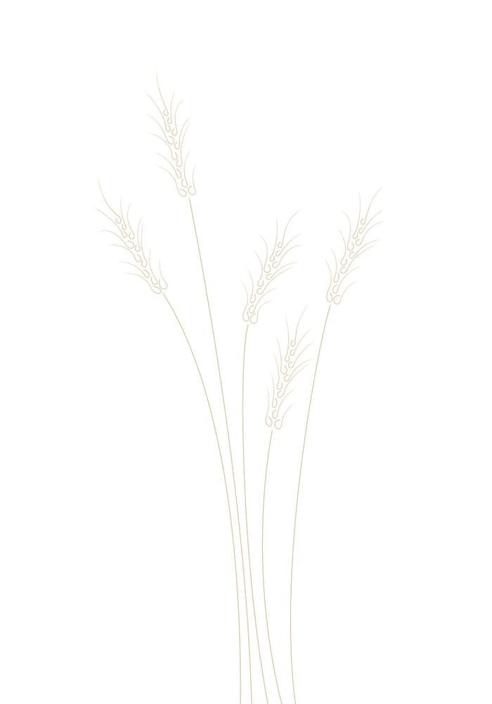 Golden Wheat Stalks by Pictufy Studio II — canvas wall art