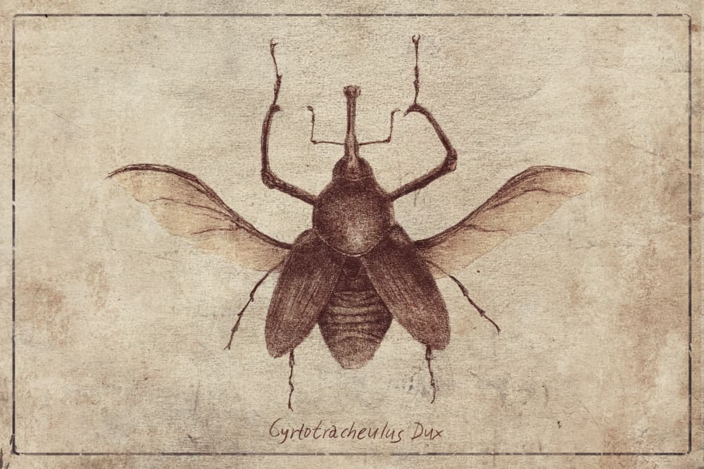 Vintage Style And Sepia Tones by Mike Koubou — canvas wall art