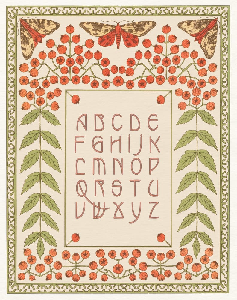 Botanical Alphabet Moths by Wild Violets — canvas wall art