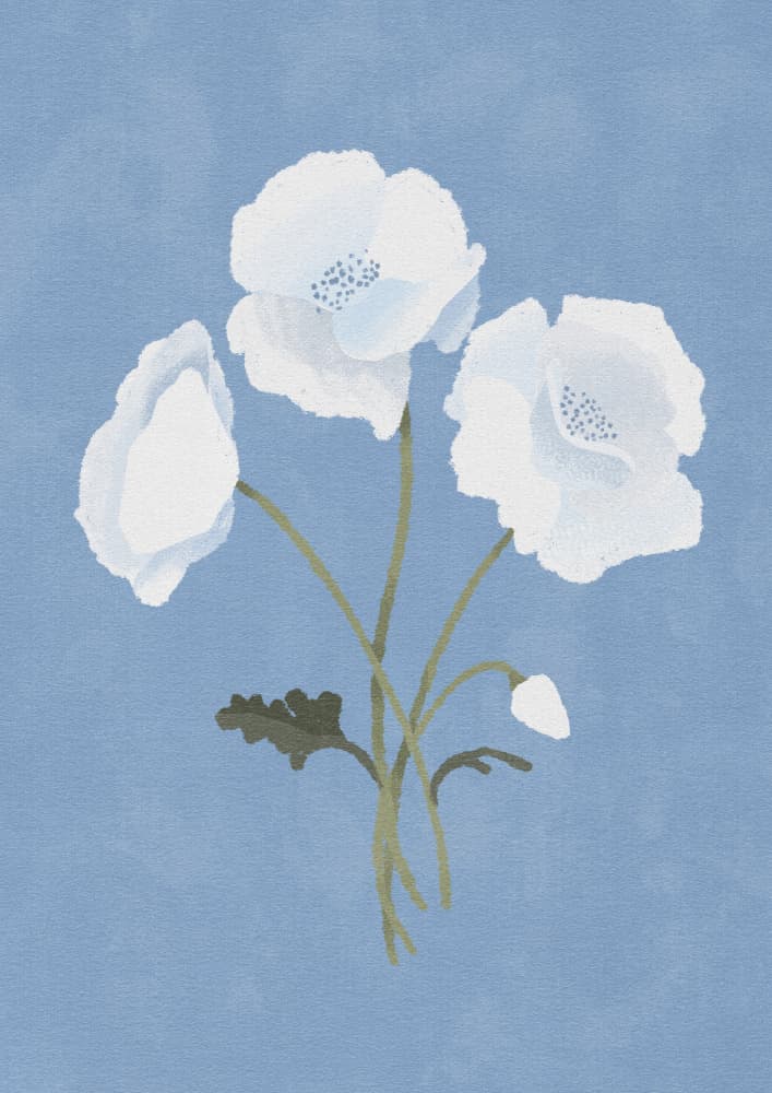 White On Blue by Goed Blauw — canvas wall art