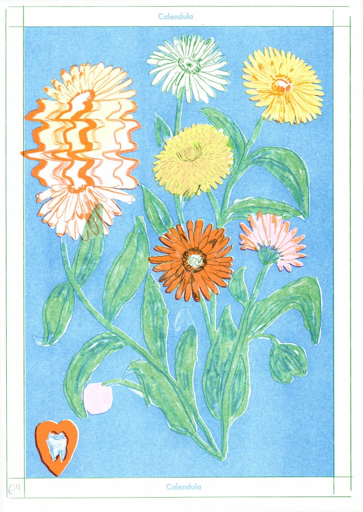Calendula Floral Illustration by Emma Make — canvas wall art