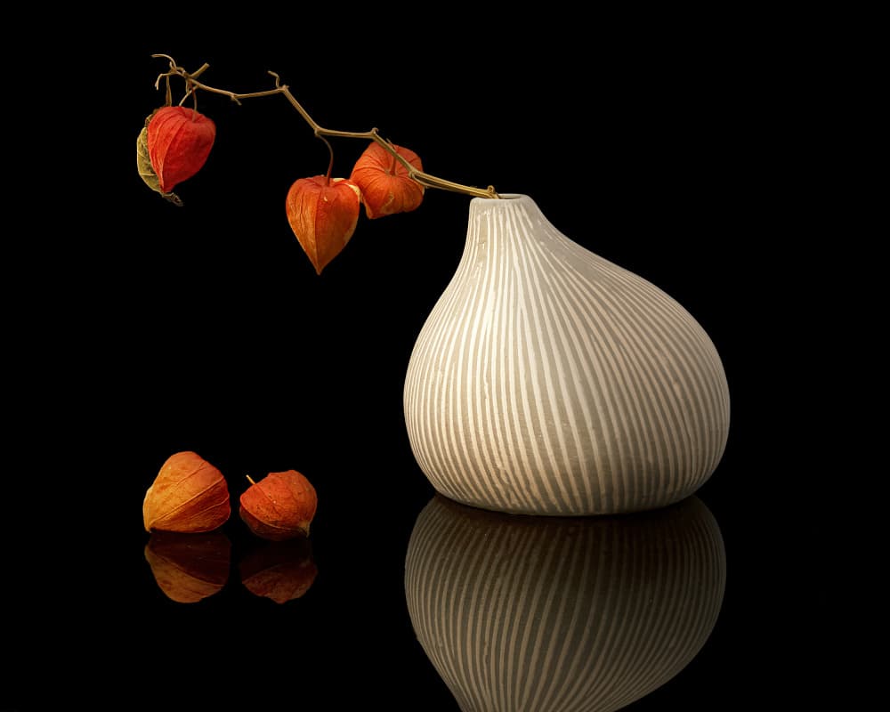 Chinese Lanterns Still Life by Louie Luo — canvas wall art