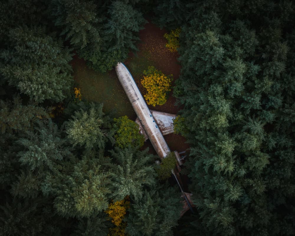 Abandoned Plane in Forest by Junhao Wang — canvas wall art