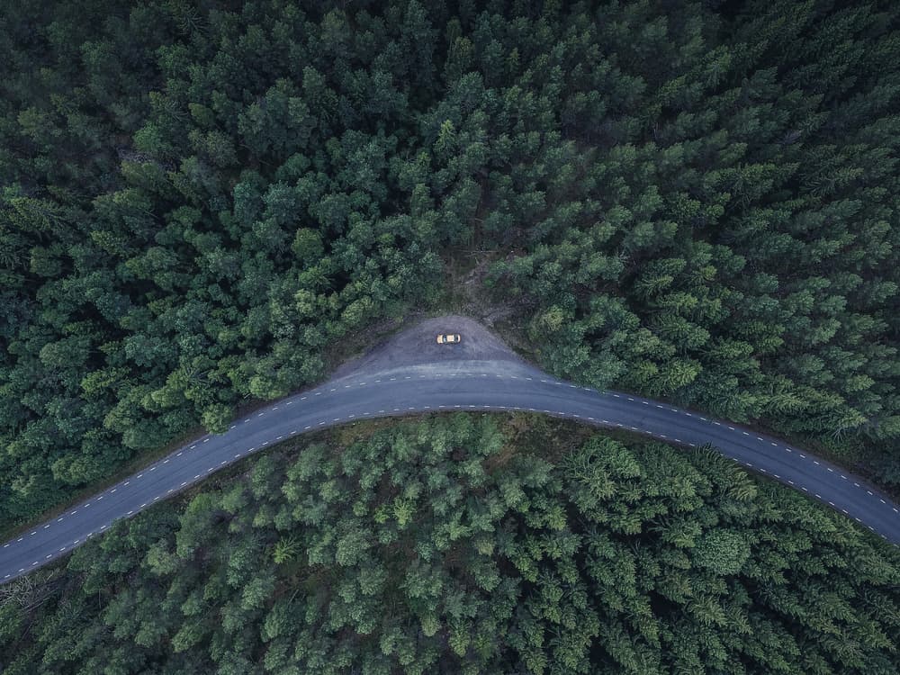 Winding Forest Road by Christian Lindsten — canvas wall art