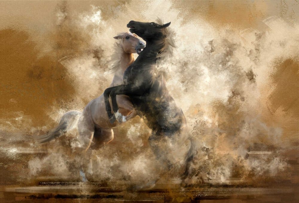 Wild Rearing Horses by Charlaine Gerber — canvas wall art